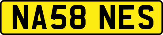 NA58NES