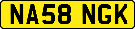 NA58NGK