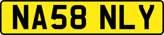 NA58NLY