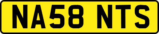 NA58NTS