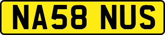 NA58NUS