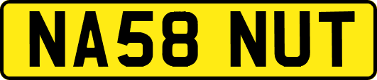 NA58NUT