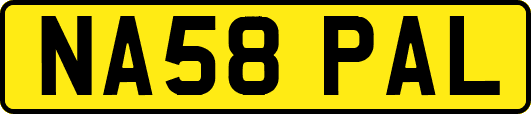NA58PAL