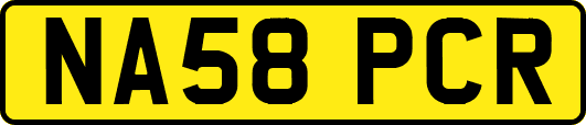 NA58PCR