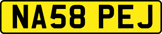NA58PEJ