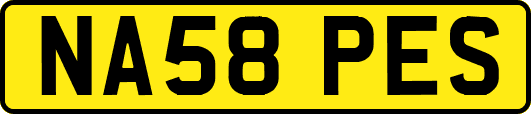 NA58PES
