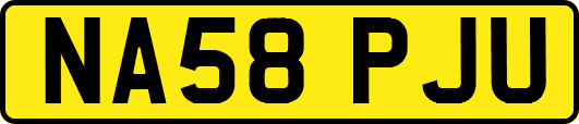 NA58PJU