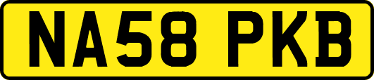 NA58PKB