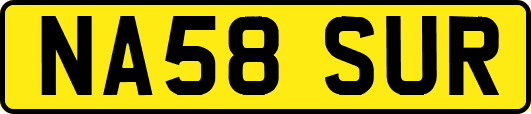 NA58SUR