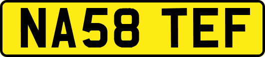 NA58TEF