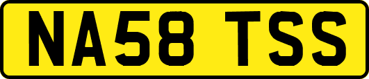 NA58TSS