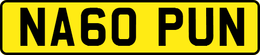 NA60PUN