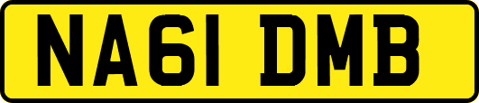 NA61DMB