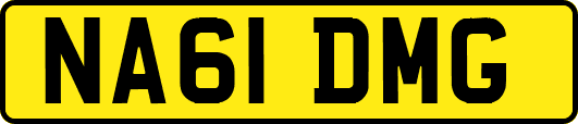 NA61DMG