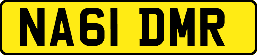 NA61DMR