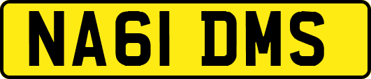 NA61DMS