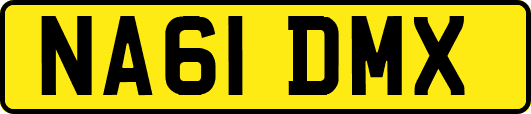 NA61DMX