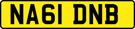 NA61DNB