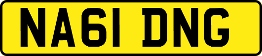 NA61DNG