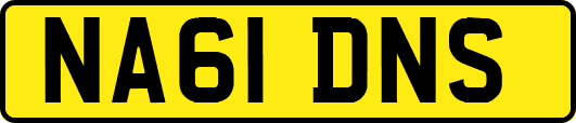 NA61DNS
