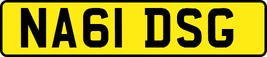 NA61DSG