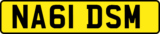 NA61DSM