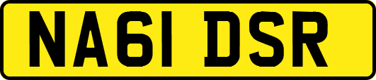 NA61DSR