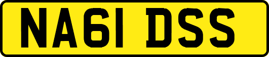 NA61DSS