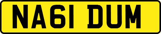 NA61DUM