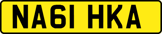 NA61HKA
