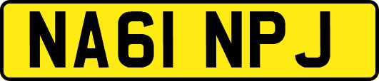 NA61NPJ