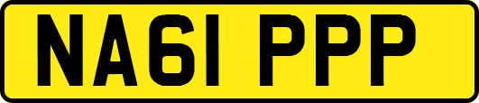 NA61PPP