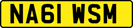 NA61WSM