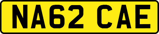 NA62CAE
