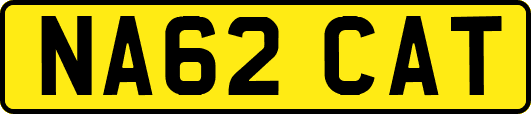 NA62CAT
