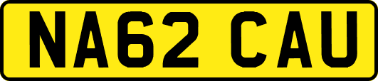 NA62CAU