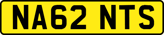 NA62NTS
