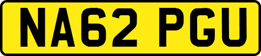 NA62PGU