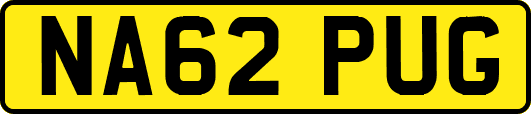 NA62PUG