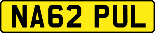 NA62PUL