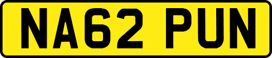 NA62PUN