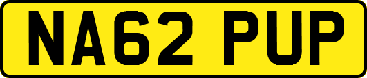 NA62PUP
