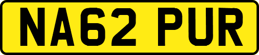 NA62PUR