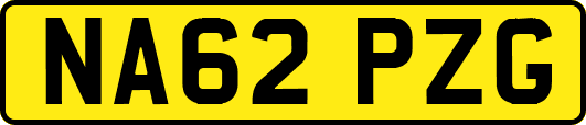 NA62PZG