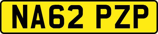 NA62PZP