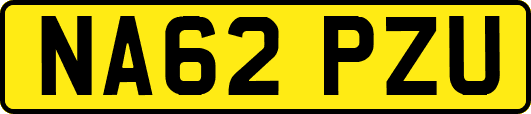 NA62PZU