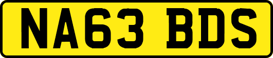 NA63BDS