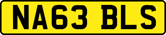 NA63BLS