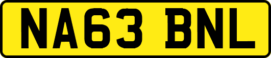 NA63BNL