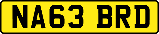 NA63BRD